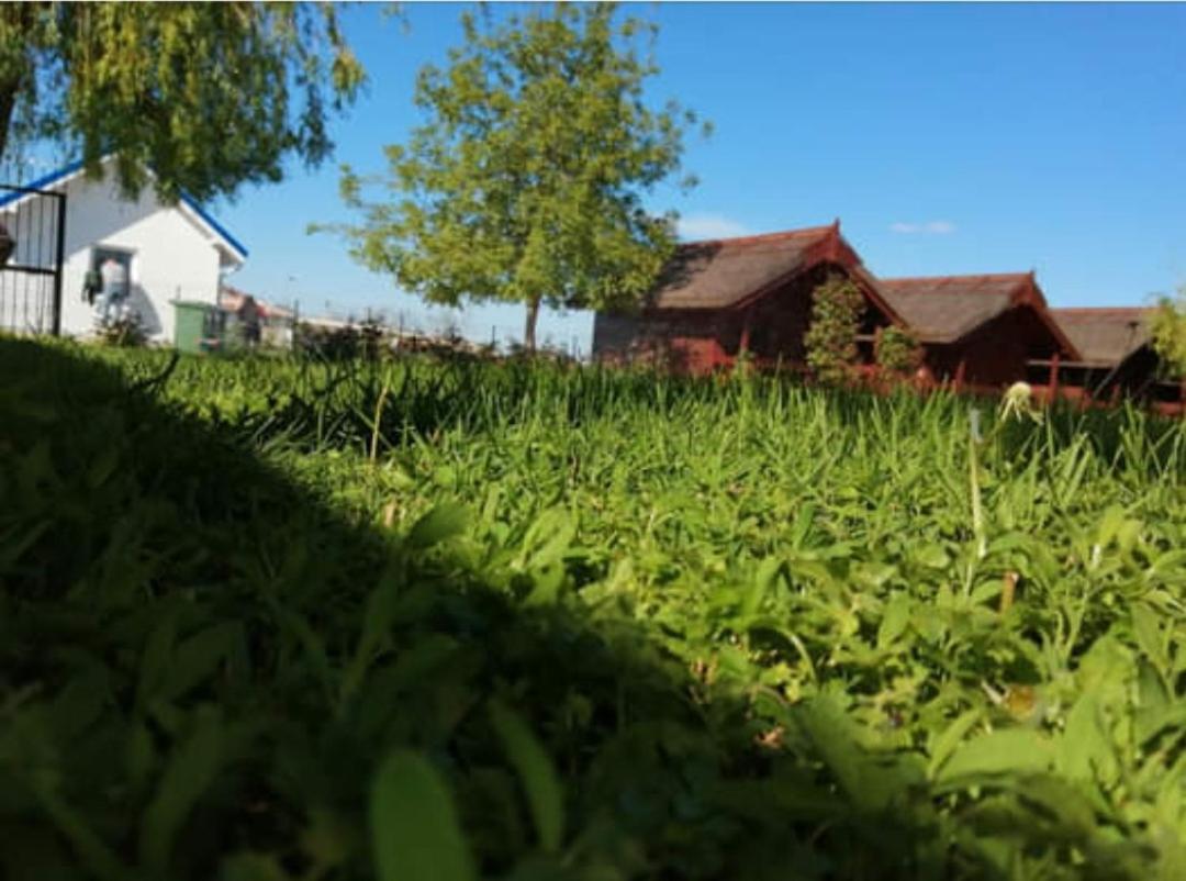 Pensiunea La Tavi Murighiol Esterno foto
